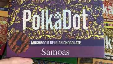 Polkadot Chocolate